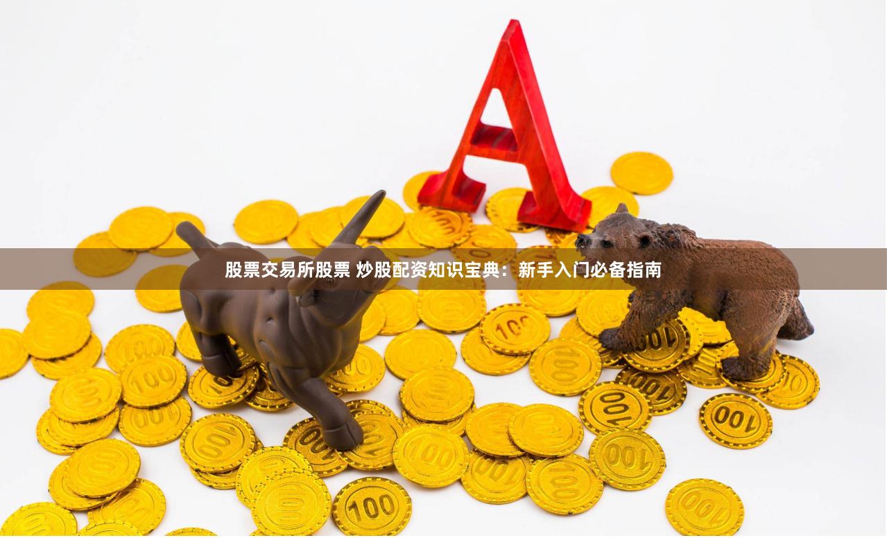 股票交易所股票 炒股配资知识宝典：新手入门必备指南