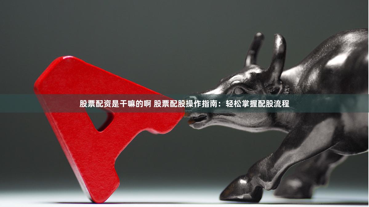 股票配资是干嘛的啊 股票配股操作指南：轻松掌握配股流程
